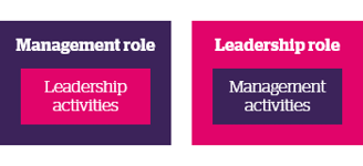 Management role and leadership role