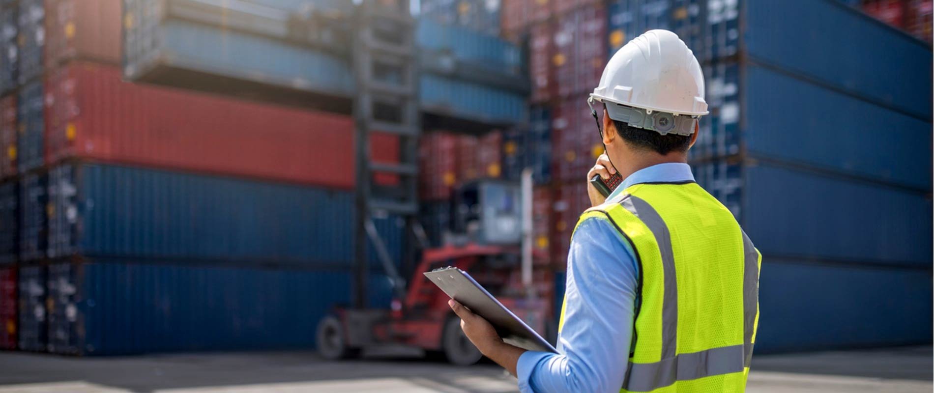 Logistics professional looking at shipping containers