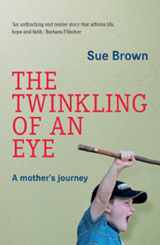 The Twinkling of an Eye - Sue Brown